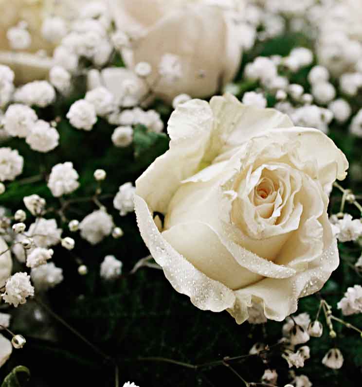 Composizione floreale di rose bianche